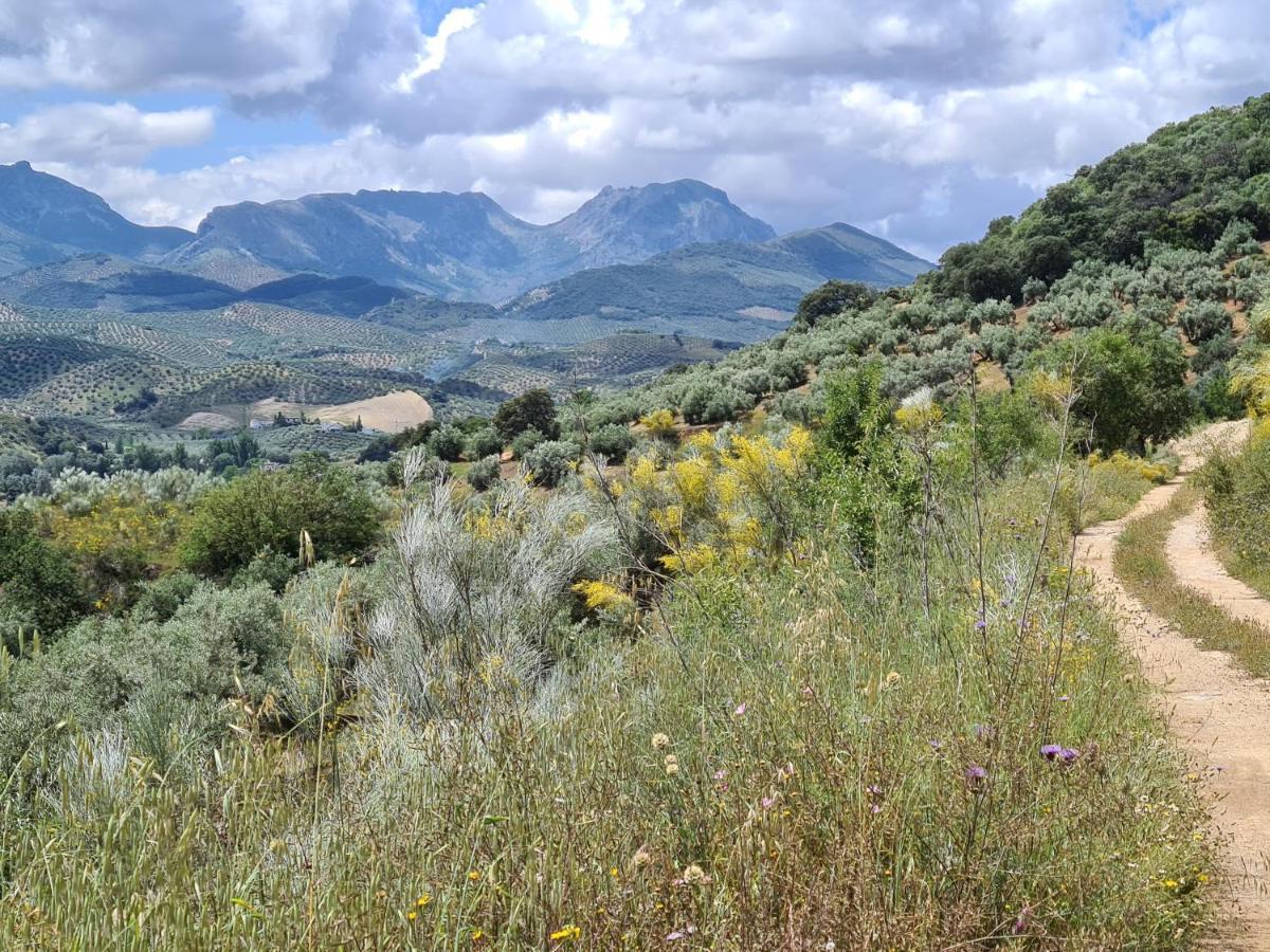 Casa Alta Holiday Home El Esparragal  Εξωτερικό φωτογραφία